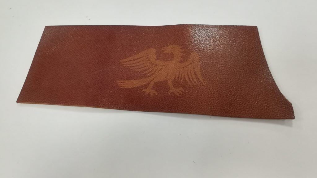 IMG_20190118_110325-1024x577